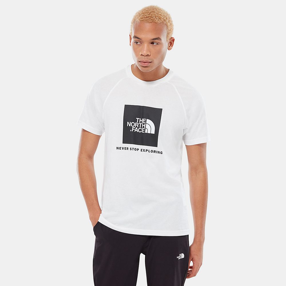 The North Face T-Shirts Mens Australia - The North Face Raglan Redbox White (BSC-624513)